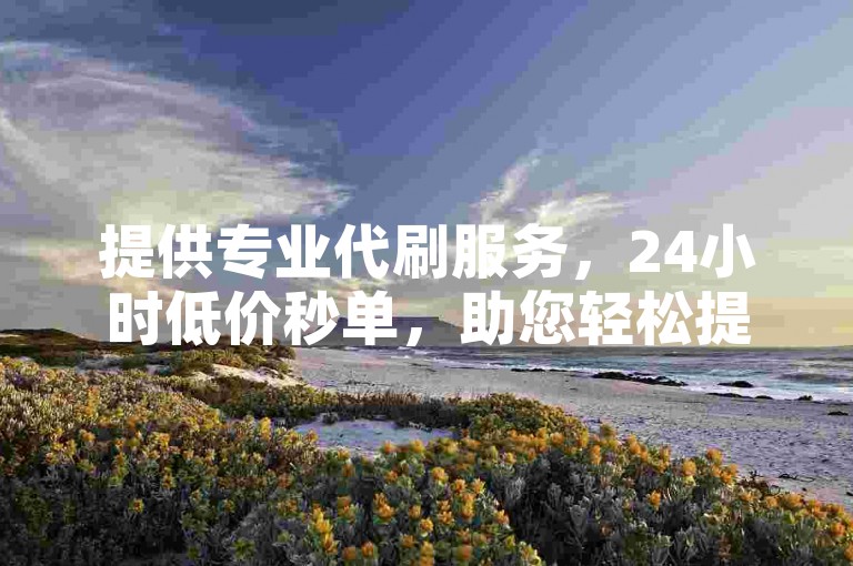 提供专业代刷服务，24小时低价秒单，助您轻松提升业务。