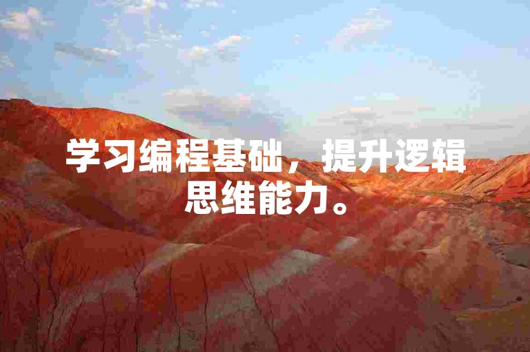 学习编程基础,提升逻辑思维能力。