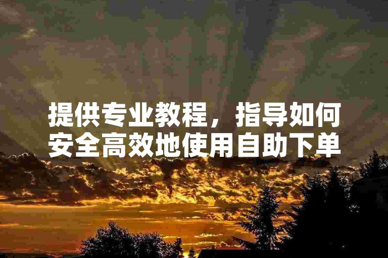 提供专业教程，指导如何安全高效地使用自助下单平台。