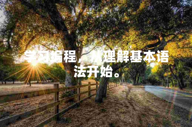 学习编程，从理解基本语法开始。