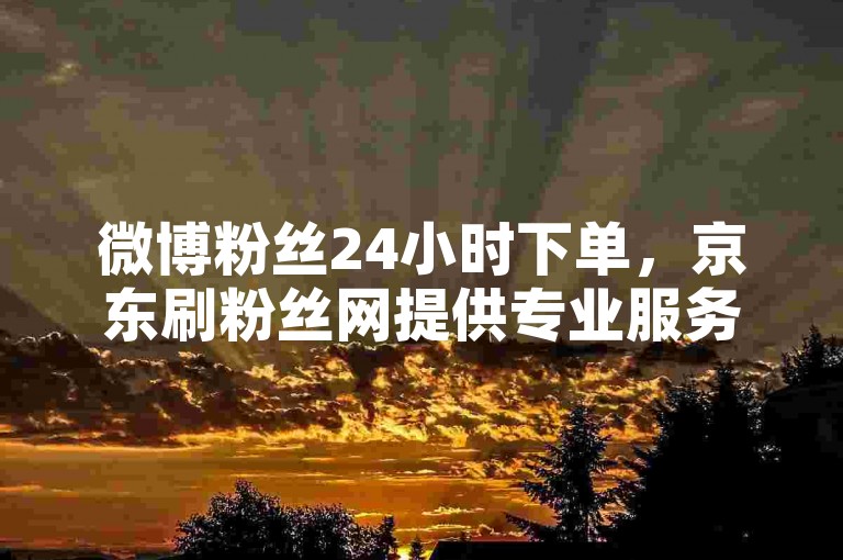 微博粉丝24小时下单,京东刷粉丝网提供专业服务。