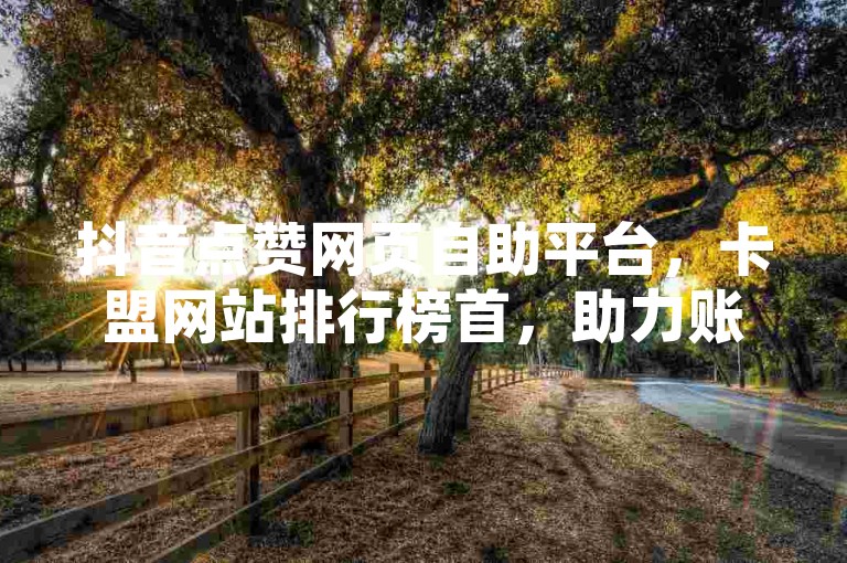 抖音点赞网页自助平台，卡盟网站排行榜首，助力账号成长。