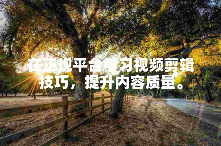 在正规平台学习视频剪辑技巧，提升内容质量。