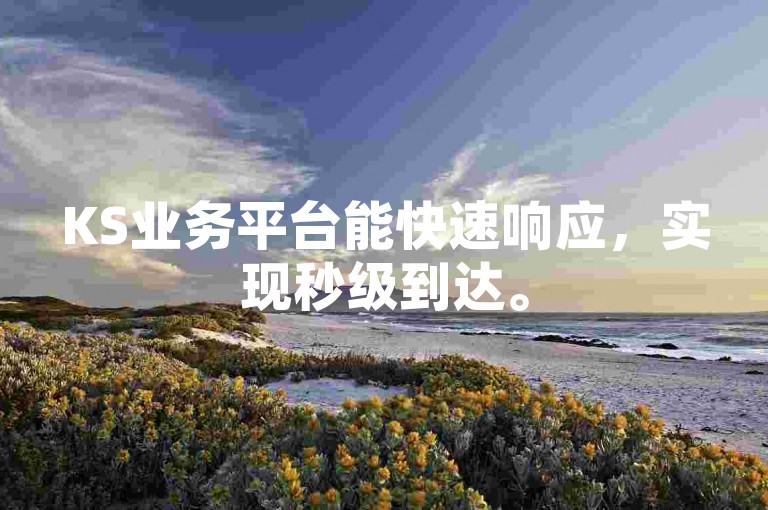 KS业务平台能快速响应，实现秒级到达。
