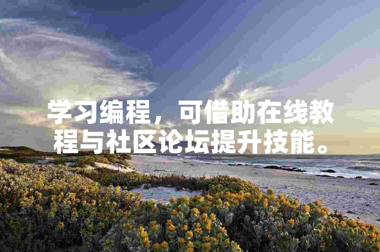 学习编程,可借助在线教程与社区论坛提升技能。