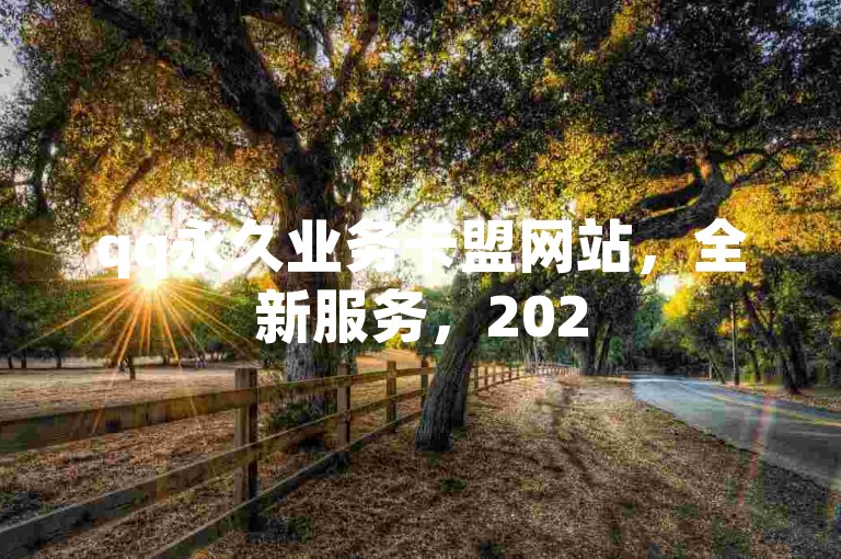 qq永久业务卡盟网站，全新服务，2025必学！