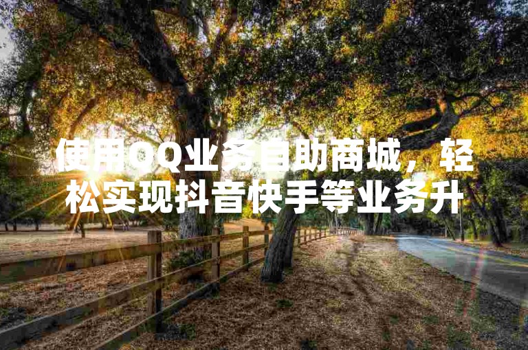 使用QQ业务自助商城，轻松实现抖音快手等业务升级。