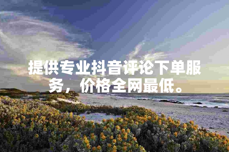 提供专业抖音评论下单服务，价格全网最低。