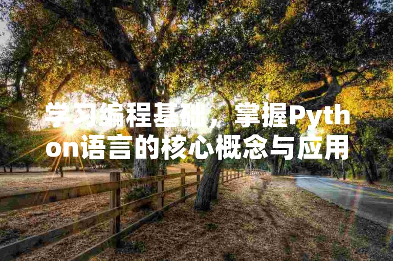 学习编程基础，掌握Python语言的核心概念与应用。