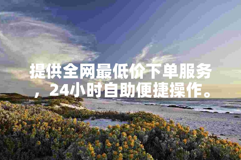 提供全网最低价下单服务，24小时自助便捷操作。