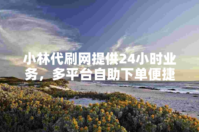 小林代刷网提供24小时业务，多平台自助下单便捷服务。