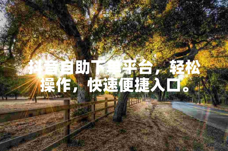 抖音自助下单平台，轻松操作，快速便捷入口。