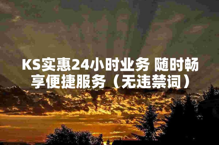 KS实惠24小时业务 随时畅享便捷服务（无违禁词）