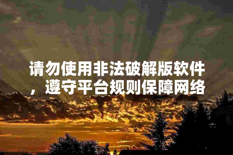 请勿使用非法破解版软件，遵守平台规则保障网络安全。