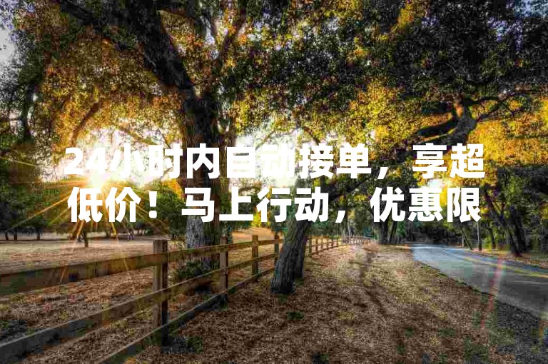 24小时内自动接单，享超低价！马上行动，优惠限时享！