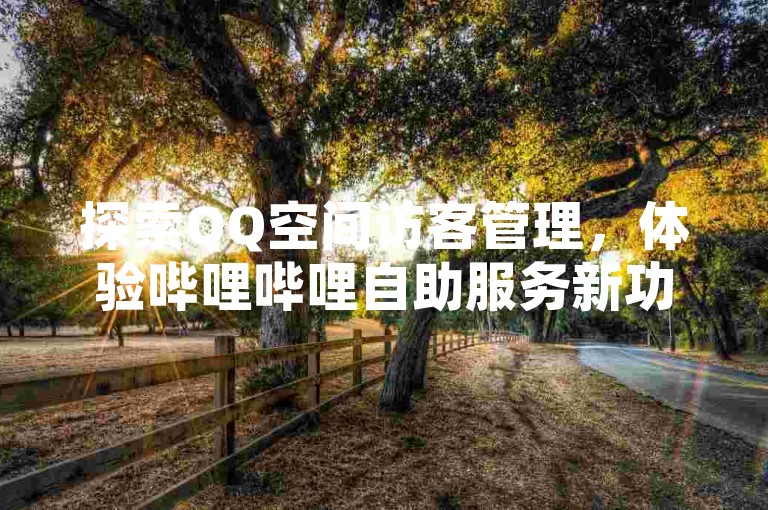 探索QQ空间访客管理，体验哔哩哔哩自助服务新功能。