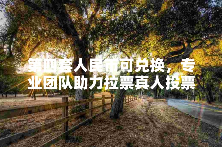 第四套人民币可兑换，专业团队助力拉票真人投票。