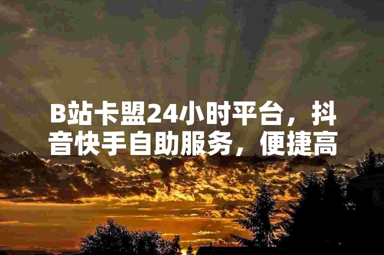B站卡盟24小时平台，抖音快手自助服务，便捷高效。