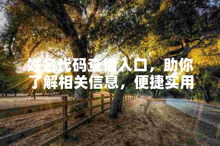 姓名代码查询入口，助你了解相关信息，便捷实用。