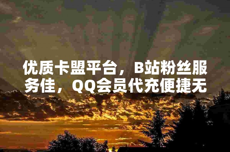 优质卡盟平台，B站粉丝服务佳，QQ会员代充便捷无忧。
