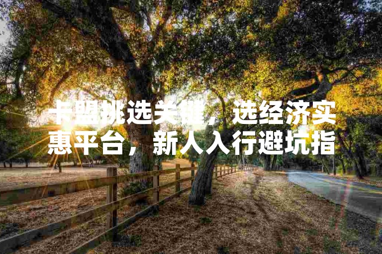 卡盟挑选关键，选经济实惠平台，新人入行避坑指南！