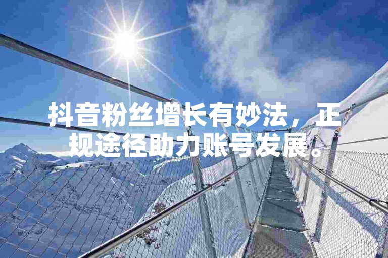抖音粉丝增长有妙法，正规途径助力账号发展。