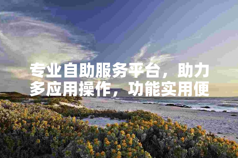 专业自助服务平台，助力多应用操作，功能实用便捷。