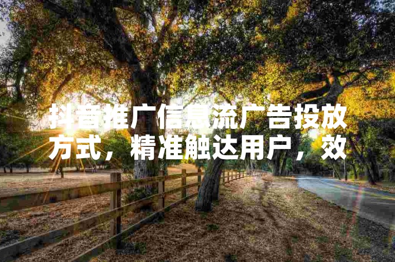 抖音推广信息流广告投放方式，精准触达用户，效果较佳。