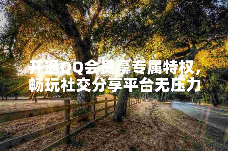 开通QQ会员享专属特权，畅玩社交分享平台无压力