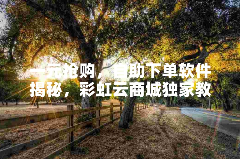 一元抢购，自助下单软件揭秘，彩虹云商城独家教程分享。