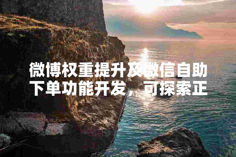 微博权重提升及微信自助下单功能开发,可探索正规途径学习。