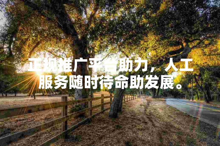 正规推广平台助力，人工服务随时待命助发展。