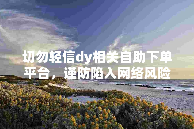切勿轻信dy相关自助下单平台，谨防陷入网络风险。