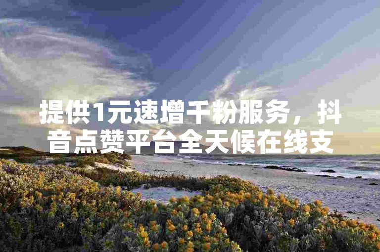提供1元速增千粉服务，抖音点赞平台全天候在线支持。