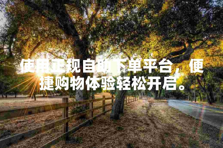 使用正规自助下单平台，便捷购物体验轻松开启。