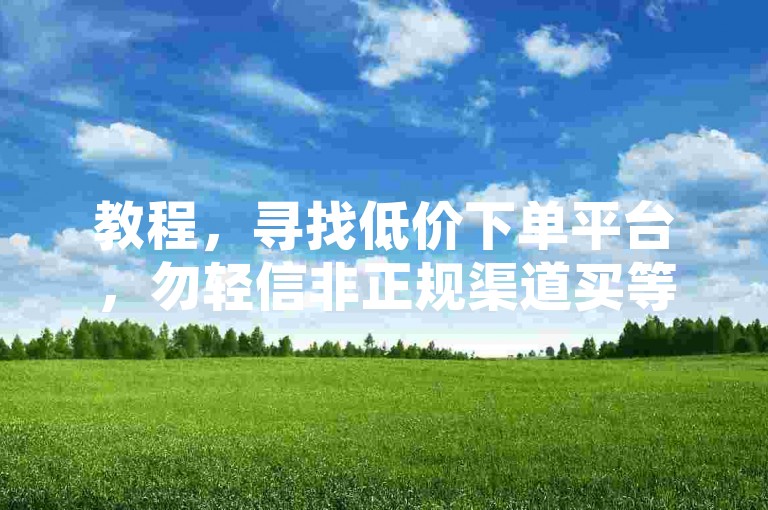 教程，寻找低价下单平台，勿轻信非正规渠道买等级服务。