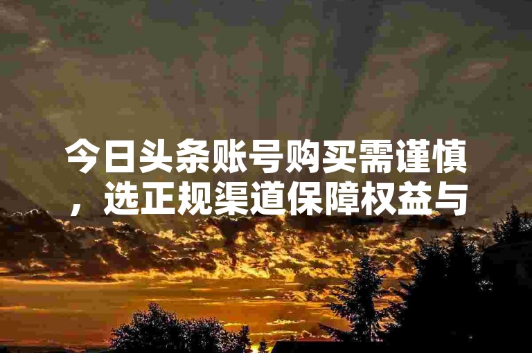 今日头条账号购买需谨慎，选正规渠道保障权益与安全。