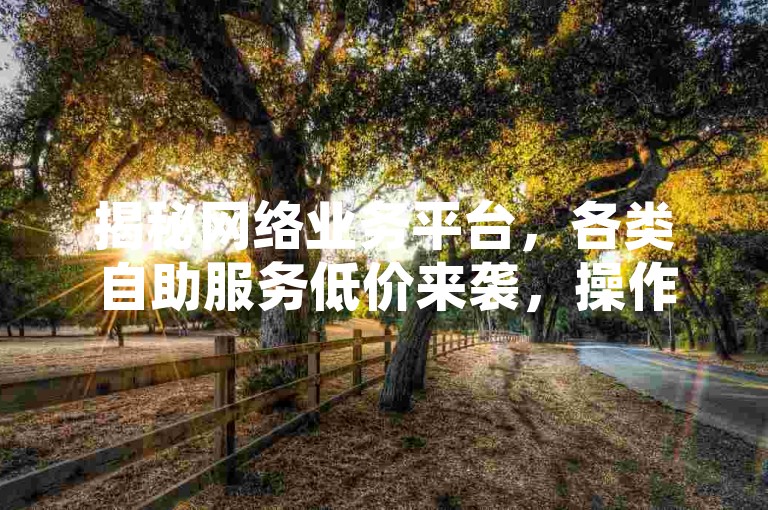 揭秘网络业务平台，各类自助服务低价来袭，操作指南抢先看！