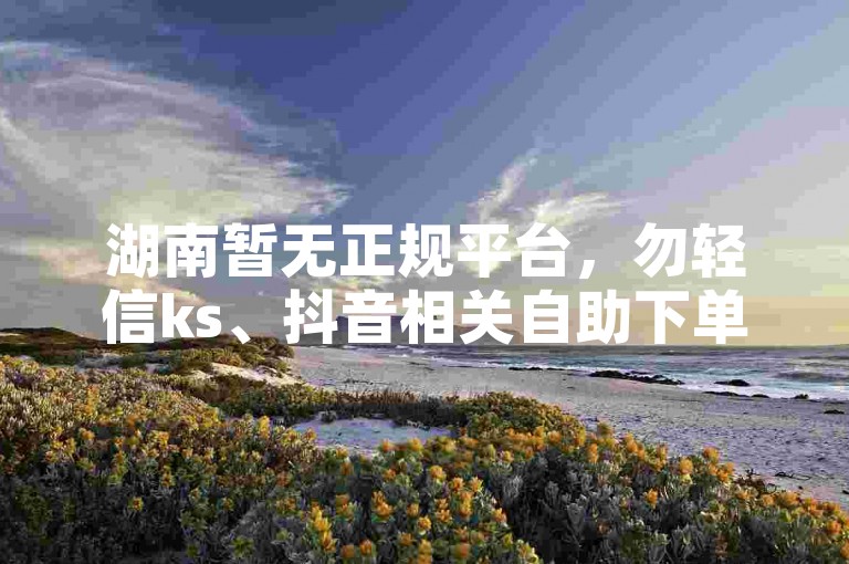 湖南暂无正规平台，勿轻信ks、抖音相关自助下单服务。