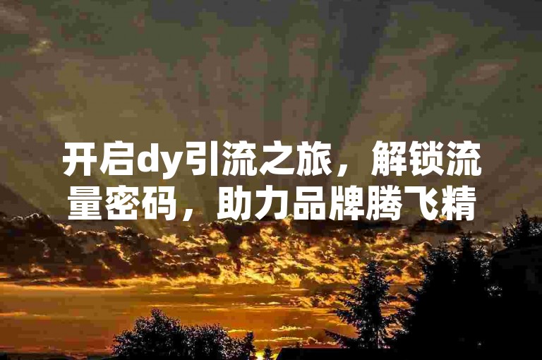 开启dy引流之旅，解锁流量密码，助力品牌腾飞精准营销攻略
