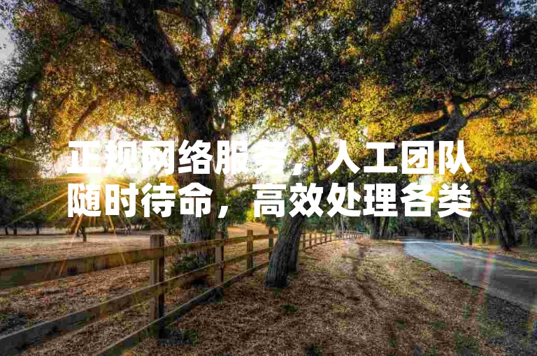 正规网络服务，人工团队随时待命，高效处理各类任务需求。