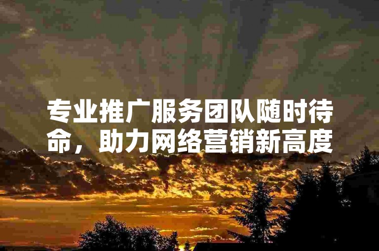 专业推广服务团队随时待命，助力网络营销新高度。