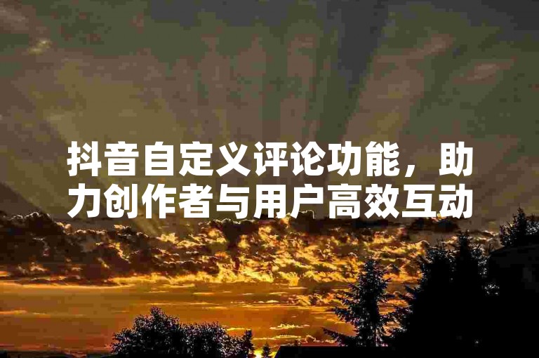 抖音自定义评论功能，助力创作者与用户高效互动。