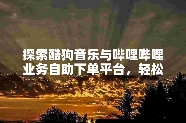 探索酷狗音乐与哔哩哔哩业务自助下单平台，轻松开启创作之旅。