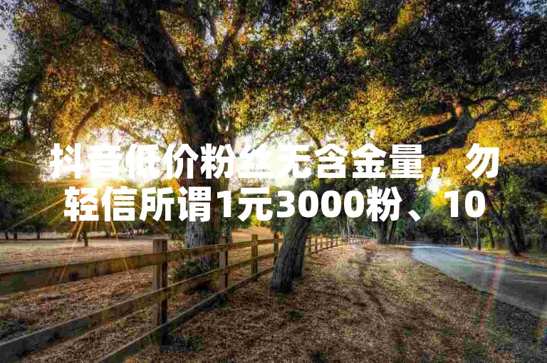 抖音低价粉丝无含金量，勿轻信所谓1元3000粉、1000粉平台。