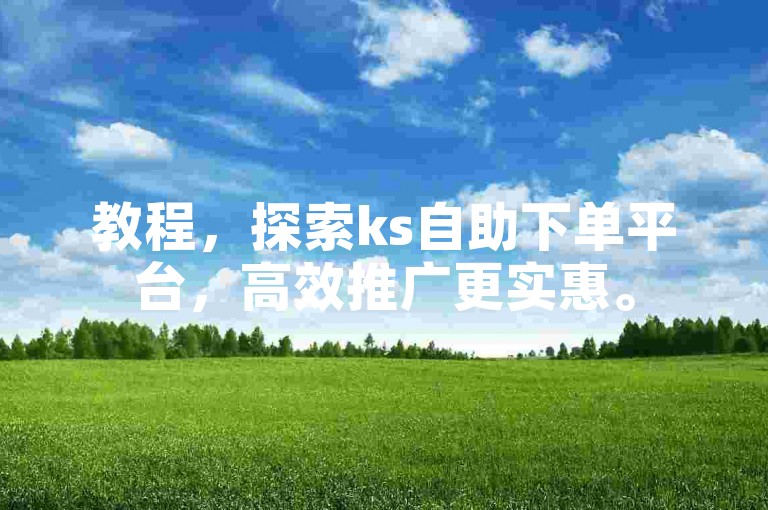 教程，探索ks自助下单平台，高效推广更实惠。