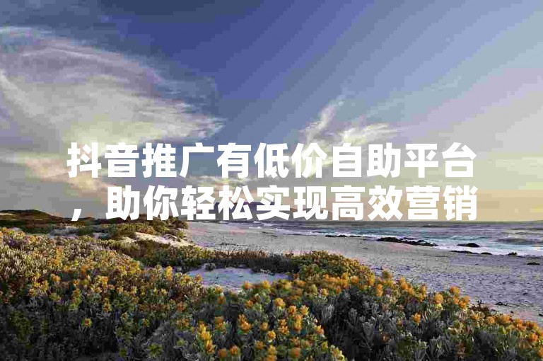 抖音推广有低价自助平台，助你轻松实现高效营销。