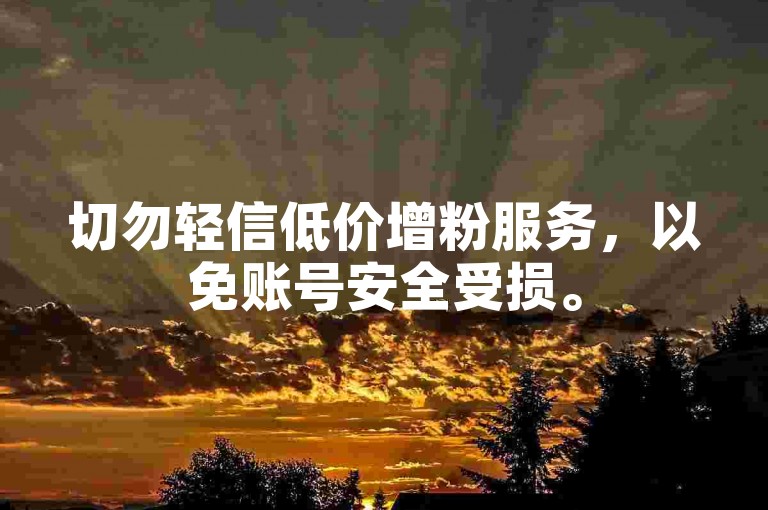 切勿轻信低价增粉服务，以免账号安全受损。