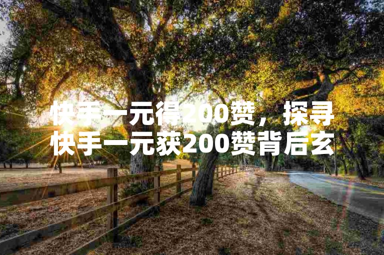 快手一元得200赞，探寻快手一元获200赞背后玄机？