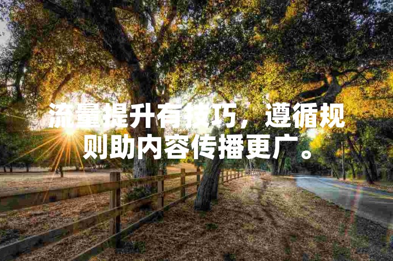 流量提升有技巧，遵循规则助内容传播更广。